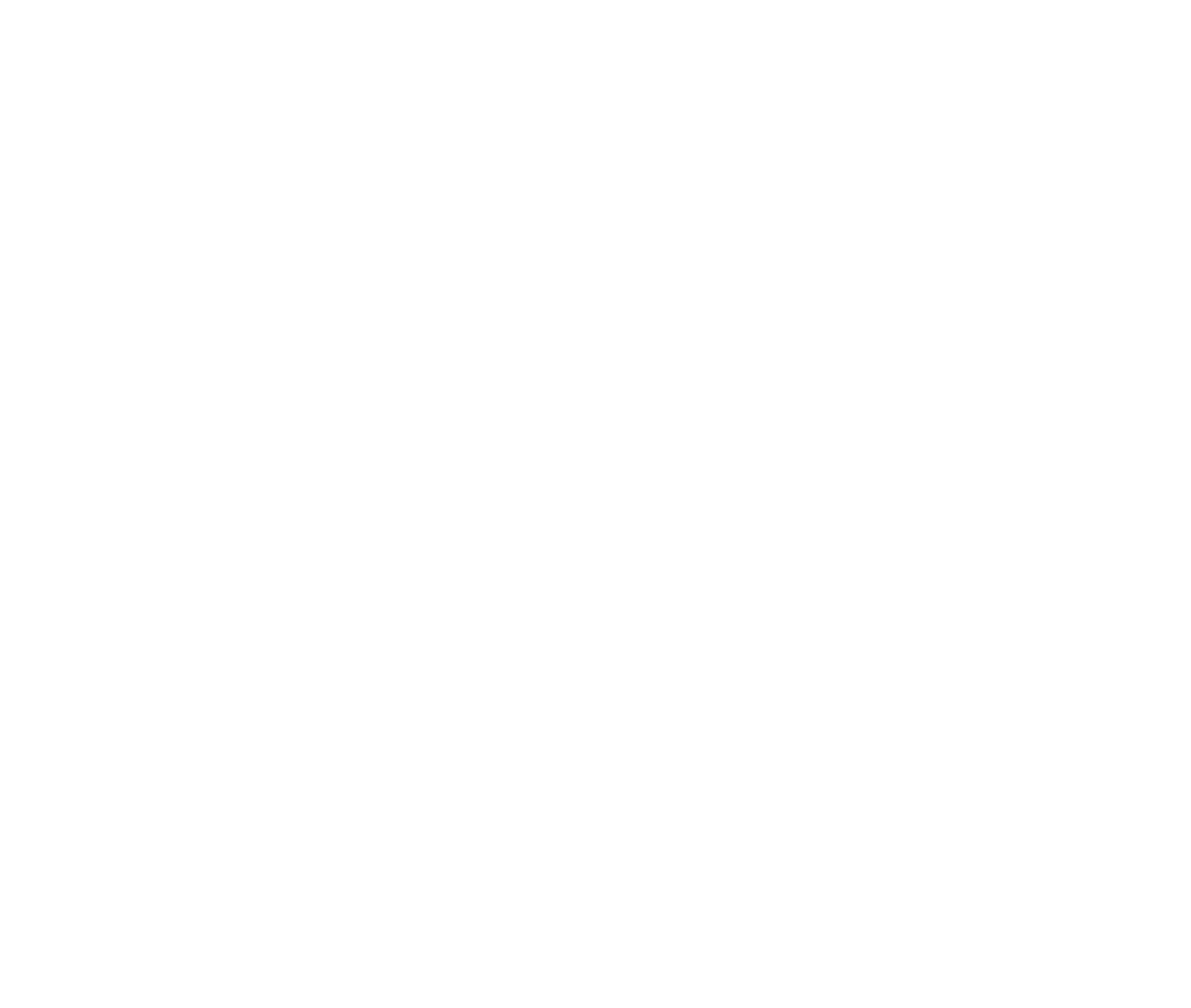 light logo